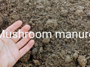 Mushroom Manure topsoil from organic material in Chilliwack