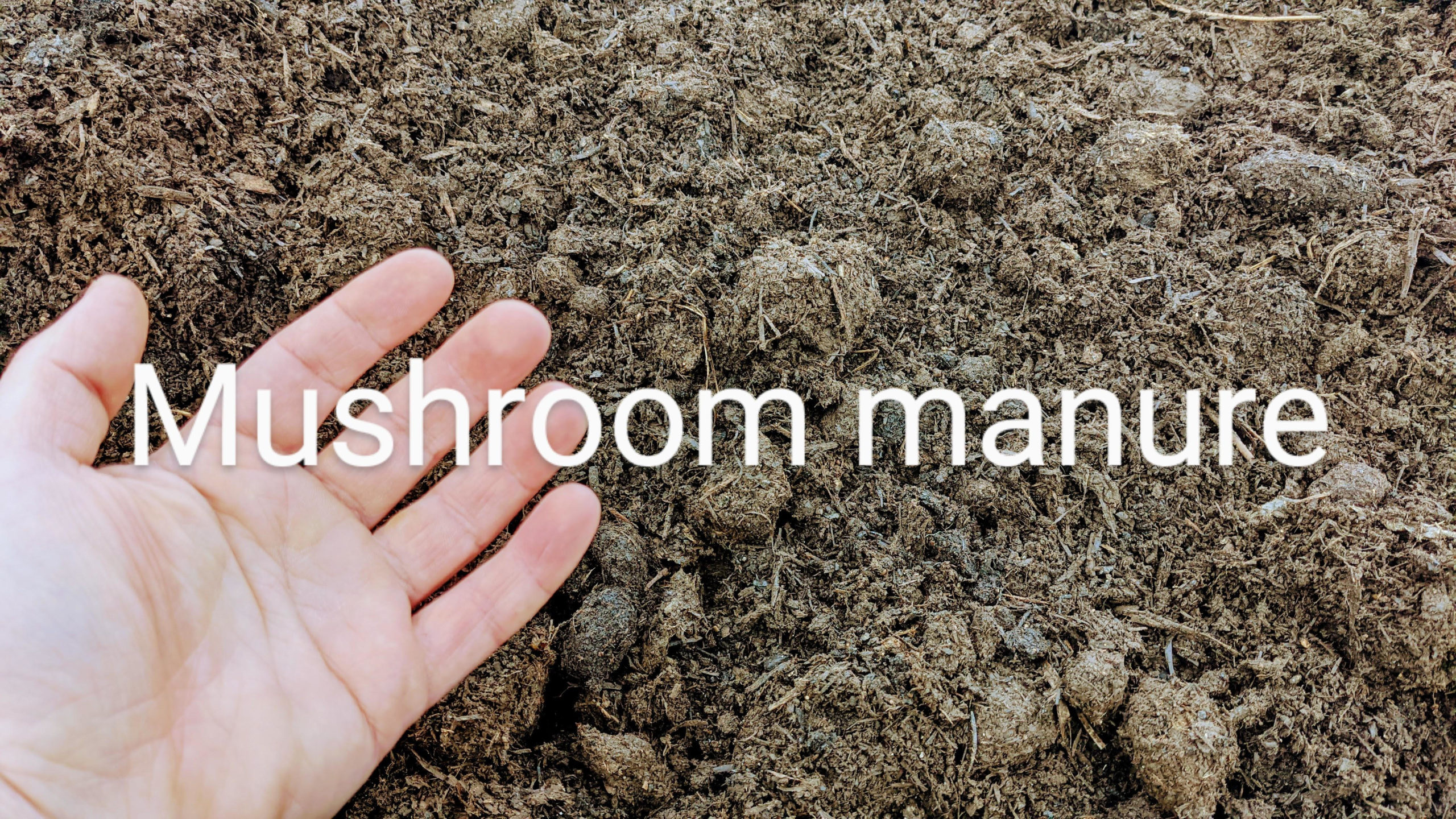 Mushroom Manure topsoil from organic material in Chilliwack